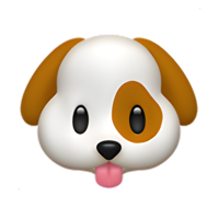Cão